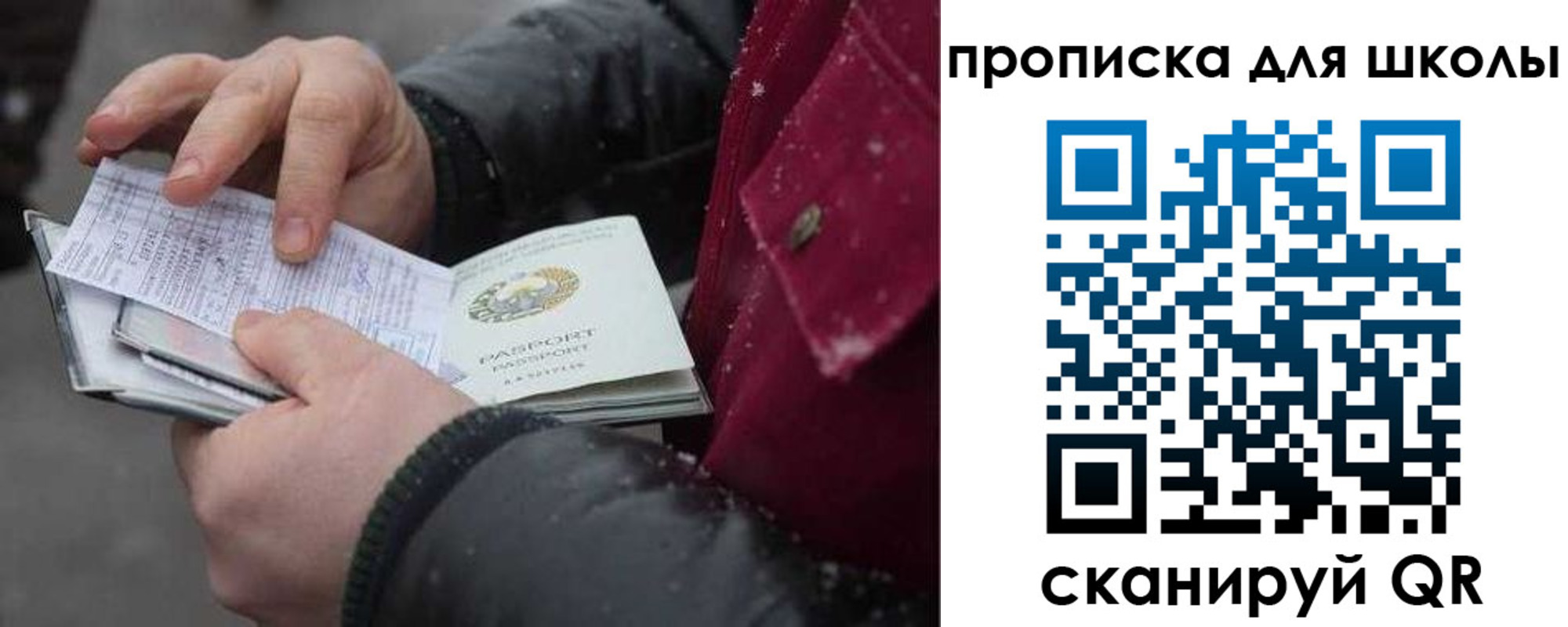 прописка гарантия в Михайловке